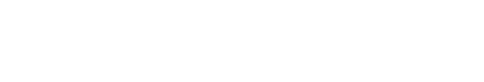 Varicent Vision Logo